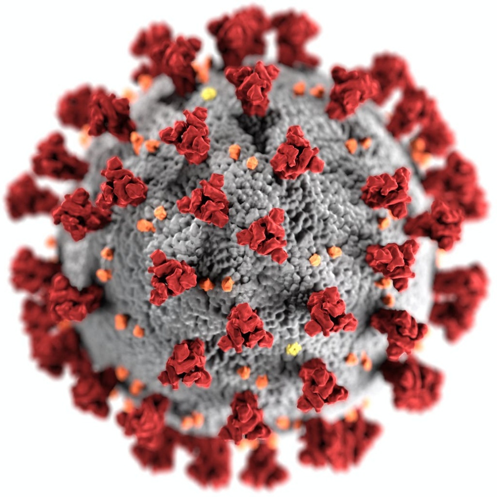 Covid virus