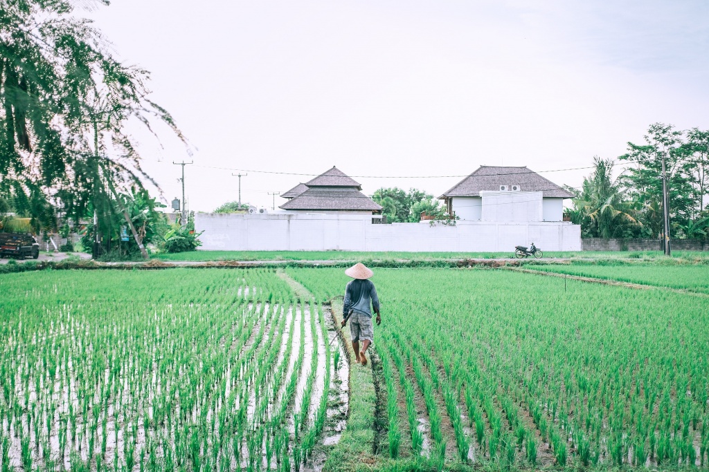 Agricultural industry